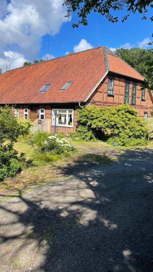 Hof Dueshop Apartment Bad Fallingbostel Exterior foto