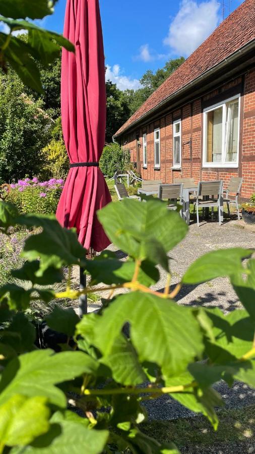 Hof Dueshop Apartment Bad Fallingbostel Exterior foto