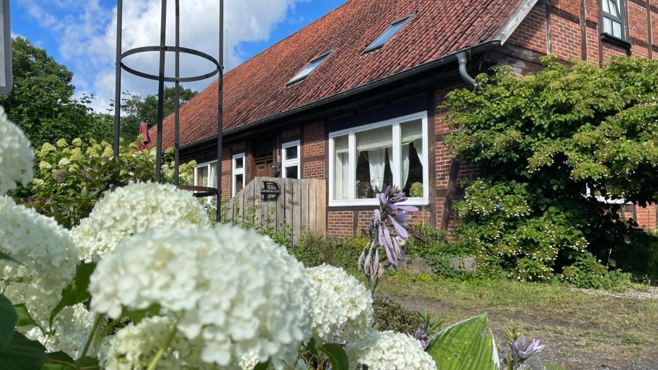 Hof Dueshop Apartment Bad Fallingbostel Exterior foto