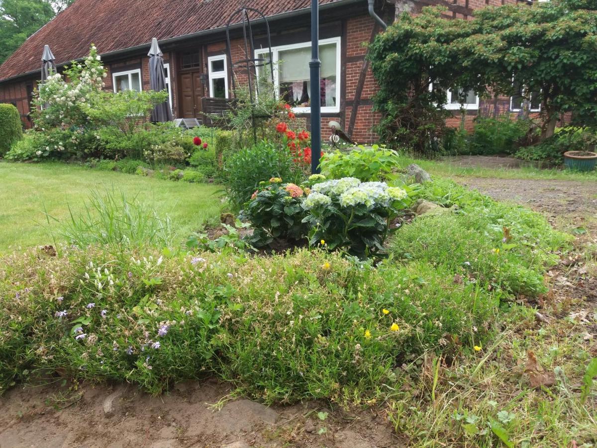 Hof Dueshop Apartment Bad Fallingbostel Exterior foto