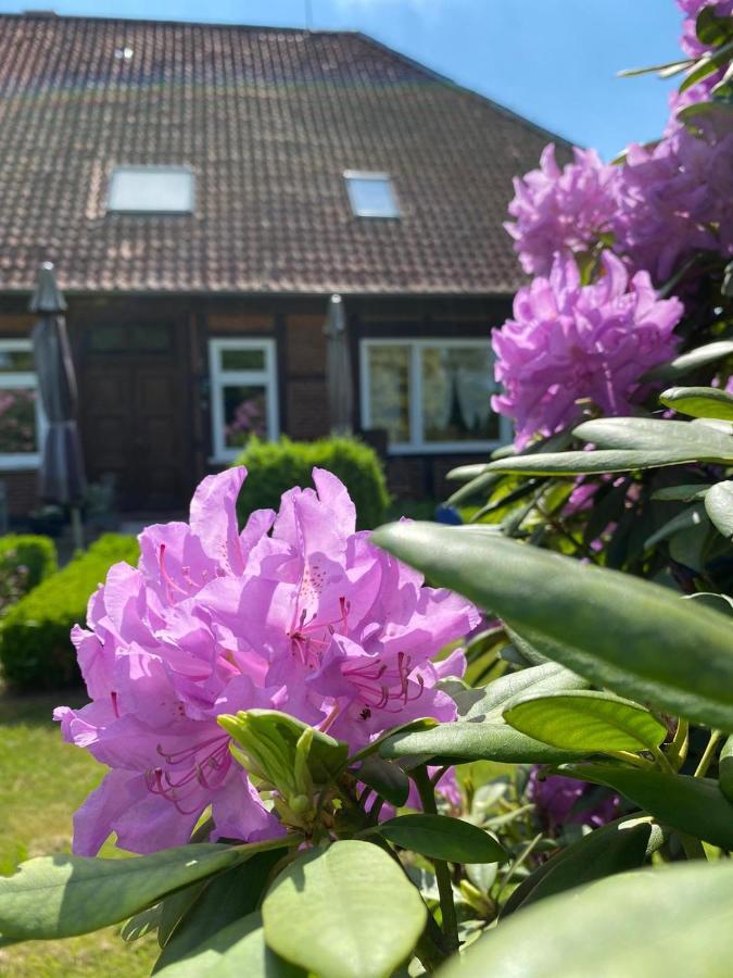 Hof Dueshop Apartment Bad Fallingbostel Exterior foto